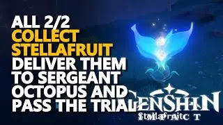 Collect Stellafruit deliver them to Sergeant Octopus and pass the trial Genshin Impact
