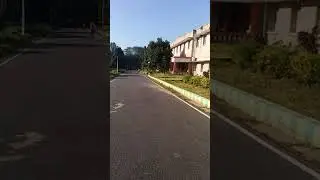 Veternery Grounds | looking out for dogs. 😝