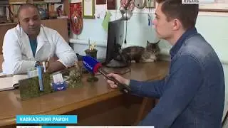 Девушки подростки накормили щенка петардой