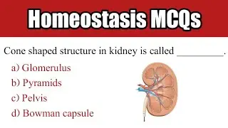 Homeostasis mcqs | biology mcqs class 10th | most important mcqs