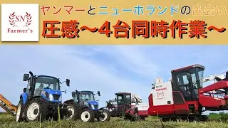 【圧倒的効率】蕎麦刈り！ヤンマーとニューホランドで4台同時作業！
