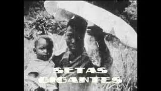 SETAS GIGANTES.mpg