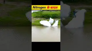 Nitrogen के बादल बना दिए || Mr Indian Hacker Nitrogen Experiment #shorts  @MRINDIANHACKER