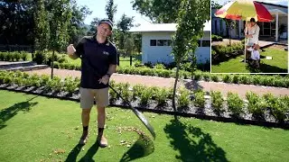 Lawn Care that's Good for Your Health / Autumn Lawn Care Tips