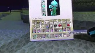 Kill  The Enderdragon Challenge
