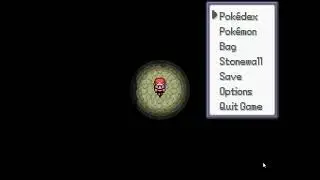 Pokemon Spartan using flash