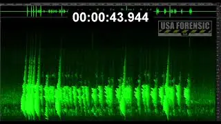 USA Forensic releases analysis of surveillance audio recording from Maya Millete neighborhood