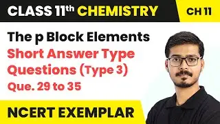 The p Block Elements - Short Answer Ques. (Type 3) | Class 11 Chemistry Chapter 11 (NCERT Exemplar)