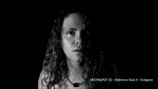 MELTINGPOT 3D - Reference Track 9 - Endgame (2025)