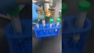 Make Counting Flocculant Strains Easier - White Labs Cell Counting Tips