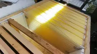 Horizontal hives with flow frames
