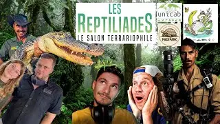 REPTILE EXPO LES REPTILIADES 2024 @ToopetVideos @AMDE@DorianTD @PadiparcParcZoologique