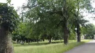 Rosensteinpark in Stuttgart