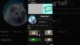 Recommend a good channel! Go to subscribe her pls! #recommend @poodles.16