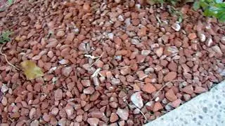 Crushed Red Brick Rock Don't Use It
