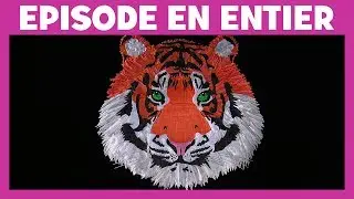 Art Attack - Big Art spécial recyclage - Disney Junior - VF