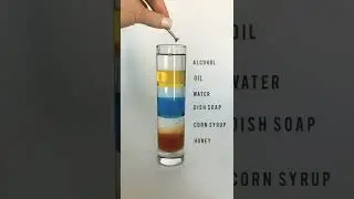 Liquid Density Experiment 💧|| #AwesomeScience