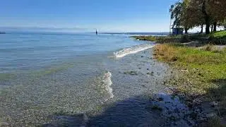 Premiumwanderweg SeeGang - Konstanz bis Wallhausen (13) (September 2023)