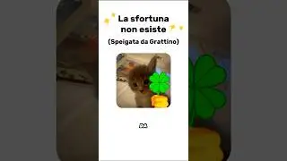 La sfortuna non esiste spiegata dai Gatti(Grattino)#gatti