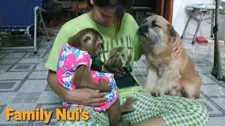 Nui Family | Nui and Po are good children
