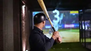 The #1 Baseball Simulator in the World! (Batbox &times; Strikezon)