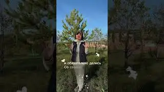 Цифровой код в дорогу