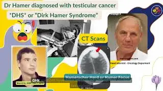 Germanische Heilkunde (Germanic Healing Knowledge) History