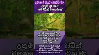 දවසේ පින් සිතිවිල්ල 18 #නිවන්මග #bana #motivation #bududaham#බුදුදහම #budubana #buddha #niwana