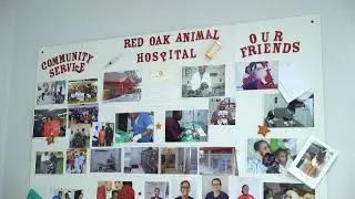 Red Oak Animal Hospital Red Oak Georgia 30272
