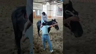 a visit to the horse farm with our guests