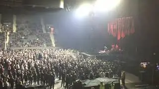 THE AMITY AFFLICTION 