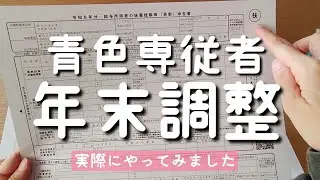 【年末調整】実際にやってみた/基礎控除額/給与所得控除/源泉徴収し分は