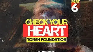 Commandments For The Heart | TORAH FOUNDATION (6)
