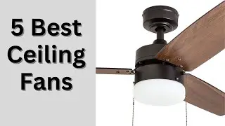 5 Best Ceiling Fans |