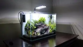Aquarium Update!!!! Top Fin Engage