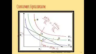 ECON 101 Indifference curve, consumer equilibrium