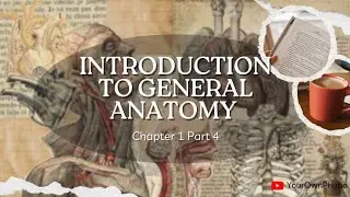GENERAL ANATOMY - INTRODUCTION TO ANATOMY PART 4 ( ANATOMICAL TERMS )