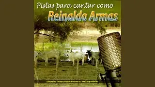 El Serenatero