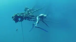 Spearfishing one of the best wrecks in South Padre Island Texas!