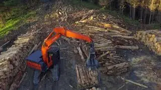 K & S Beard Logging Ltd