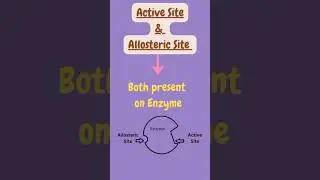 Active site & Allosteric Site #youtube #shorts #ytshorts #subscribe #science @pritiduhanofficial