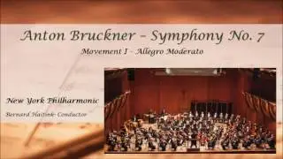 Bruckner Symphony No. 7, New York Philharmonic, Haitink