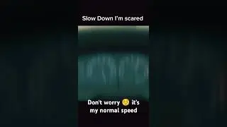 Slow down i am scared #carspeedtest