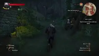 The Witcher 3 - Wild Hunt GOTY Edition Playthrough (07-11-2025)