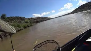 Catfishing the Rio Grande