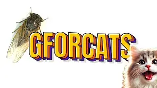 Fly White Canvas #gamesforcats #3dcatgames #videosforcats