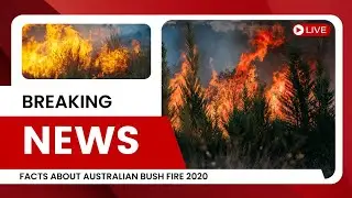Unknown Facts About Australian Bush Fire 2020