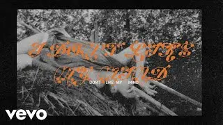 Mitski - I Don't Like My Mind (Official Lyric Video)