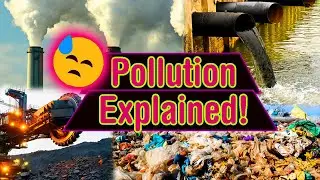 The Pollution Investigation!