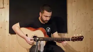 Paveza-Papazoglou guitars